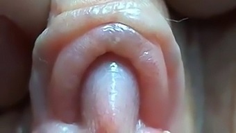 Intimate View Of Nektiiaaslam'S Clitoris Stimulation