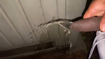 Daring Woman Accepts Public Urination And Nudity Offer